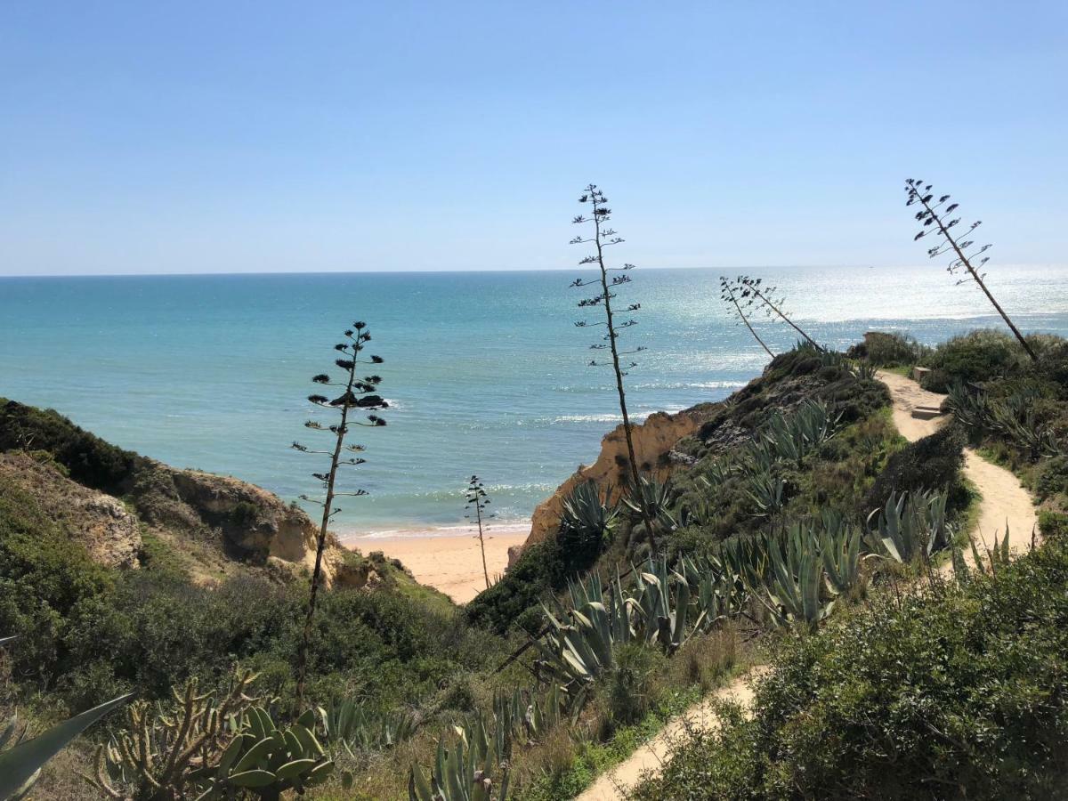 T3 Holiday Cottage Near The Beach | C225 Porches  Eksteriør bilde